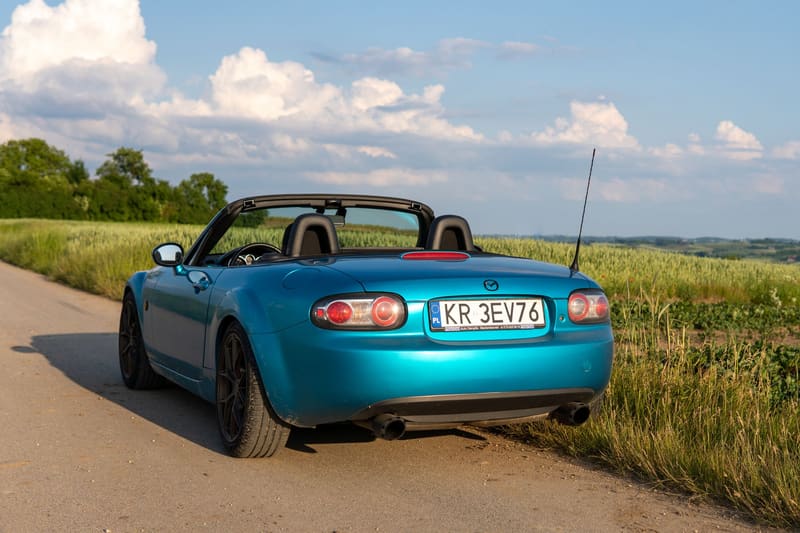 A blue roadster stopped on a country road beside a green verge.
